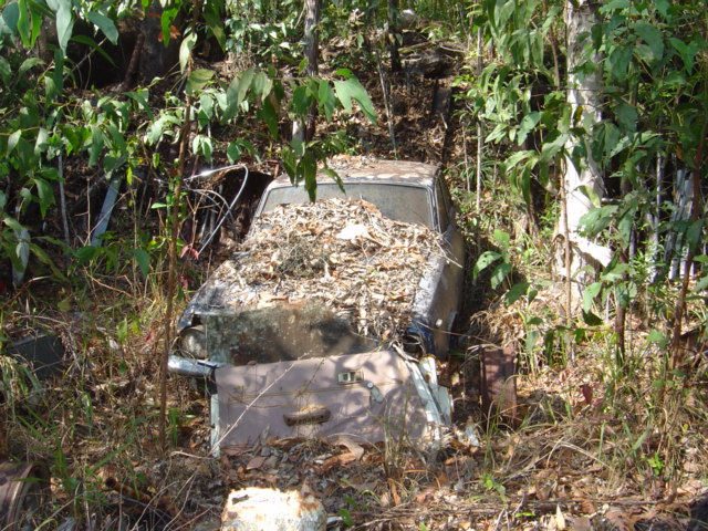 FIRST LOOK AT FRONT.JPG