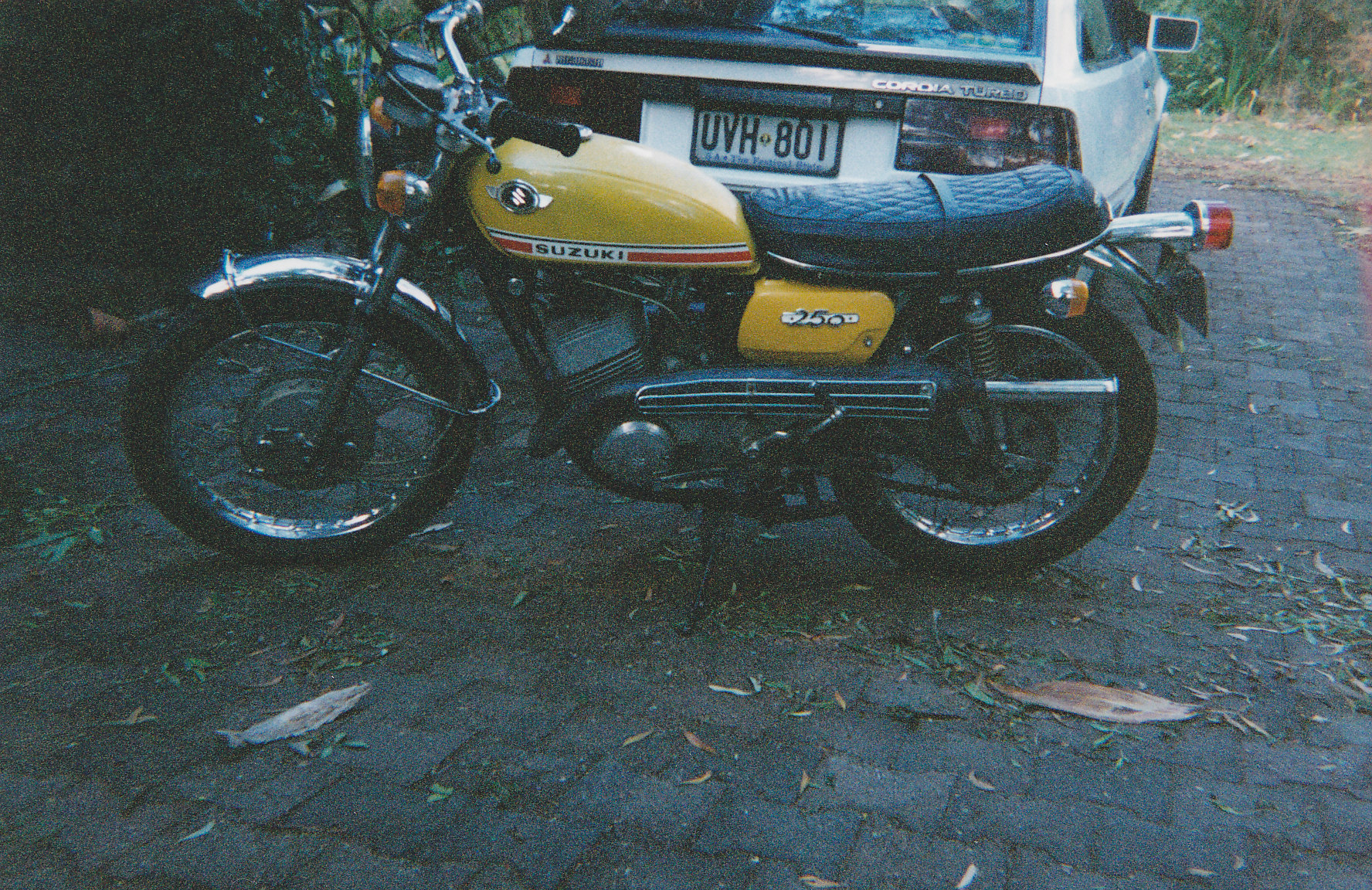Suzuki_0002.jpg