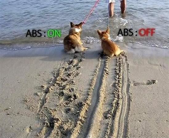 ABS.jpg