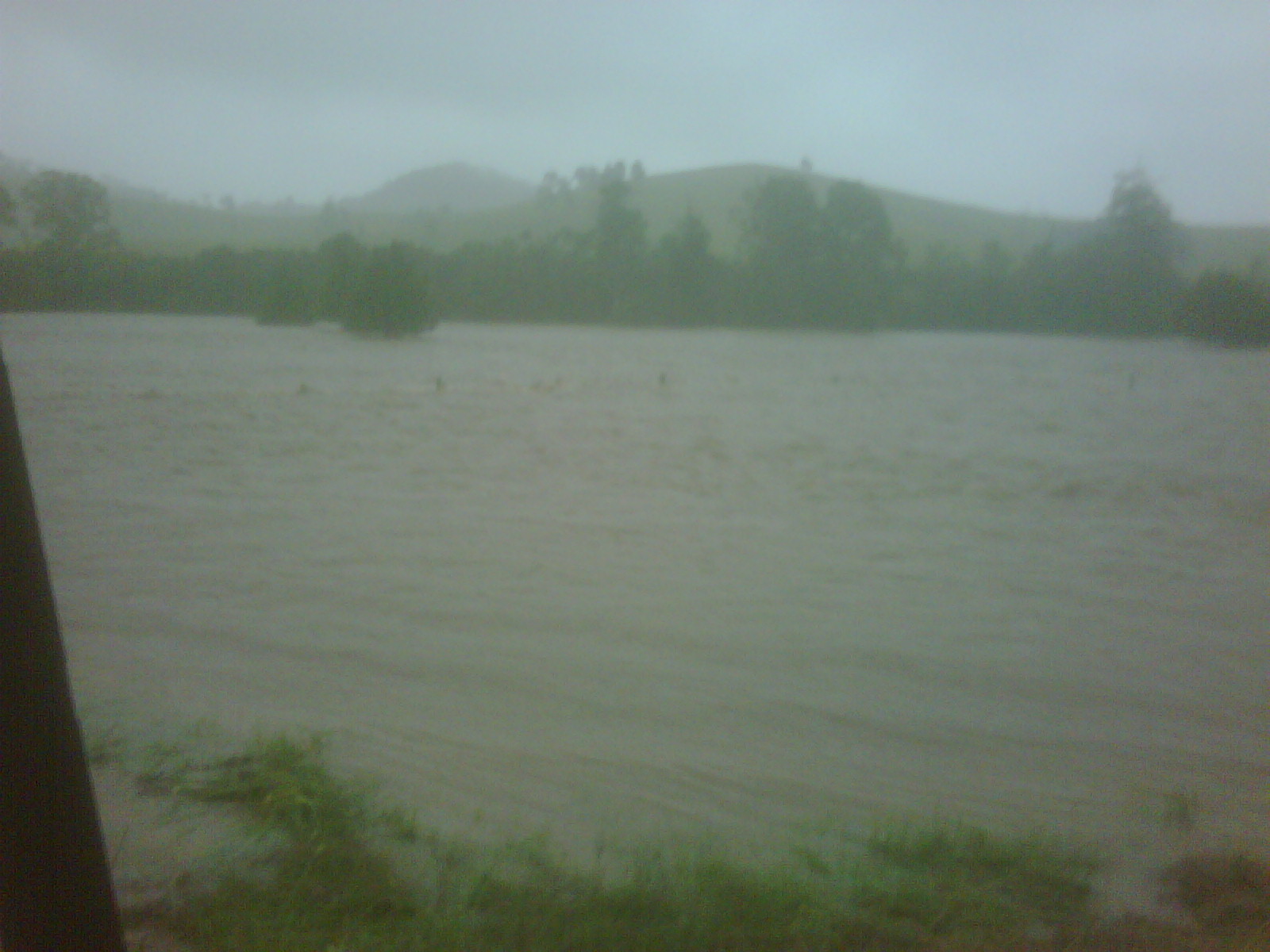 IMG00099-20110109-1740.jpg