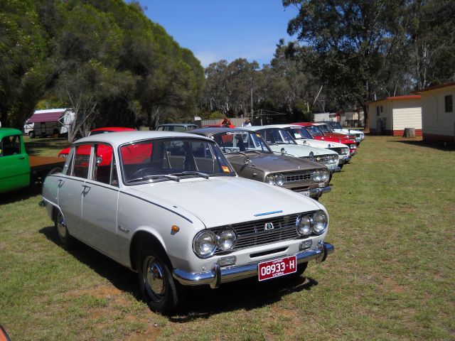 coona 2011 044.JPG