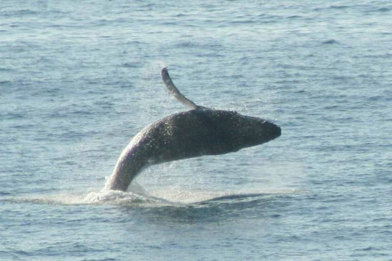 merimbula.jpg