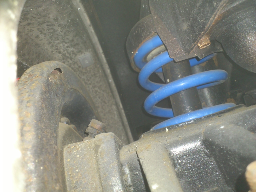 Rear-coil springs.jpg