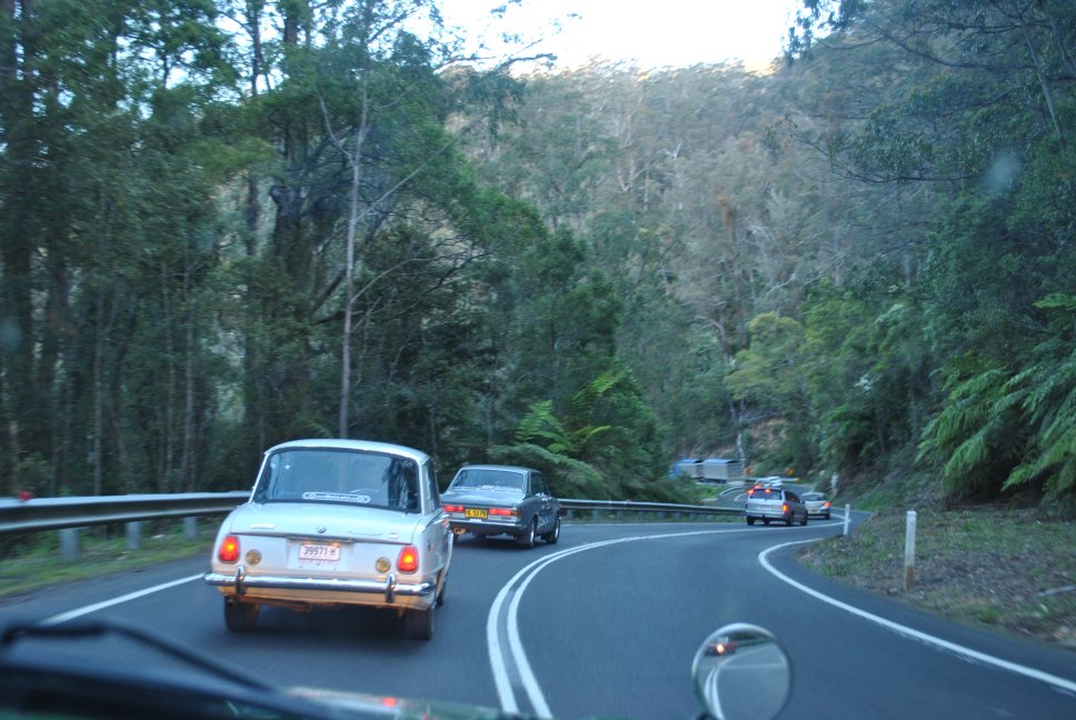 19 October - 53 - Snowy Mountains Highway - Glenbog State Forest - Bellett Deluxe Automatic and Florian.JPG