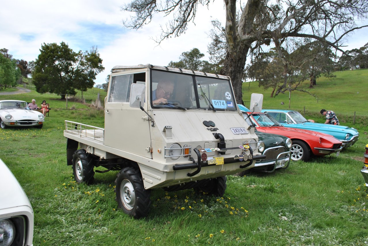 Steyr-Puch Haflinger - 01.JPG