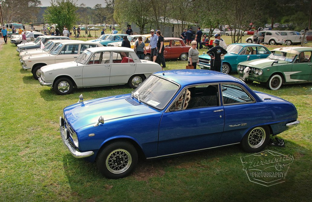 Birdwood - Bellett line up - Bellett GT - Bruno.jpg